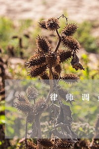 律师调查债务人违法吗 律师调查债务人违法吗