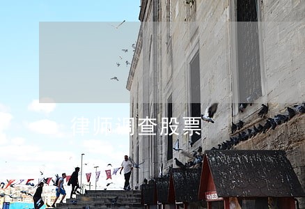 律师调查股票 律师调查股票