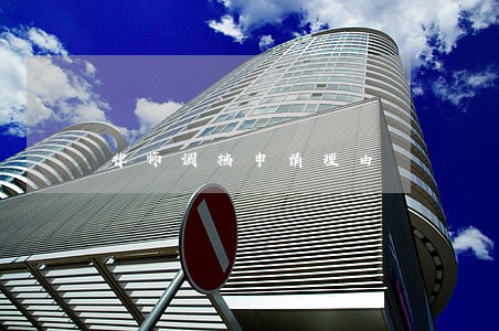 律师调档申请理由 律师调档申请理由