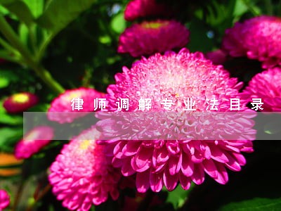 律师调解专业法目录 律师调解专业法目录