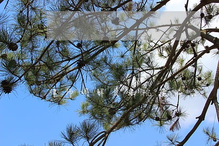 律师调解员法院座谈会
