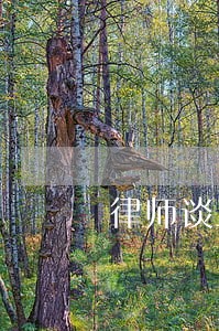 律师谈三个女孩 律师谈三个女孩