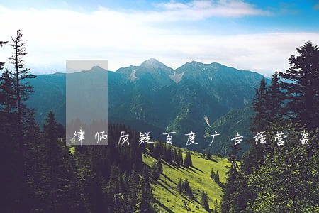 律师质疑百度广告经营资格 律师质疑百度广告经营资格