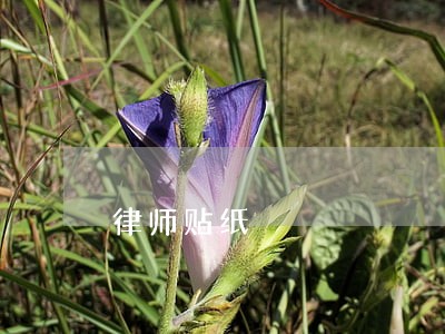 律师贴纸 律师贴纸