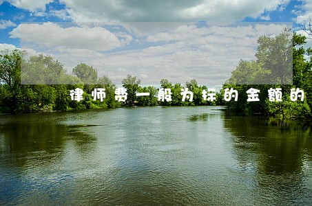 律师费一般为标的金额的多少 律师费一般为标的金额的多少
