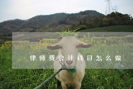 律师费会计科目怎么做 律师费会计科目怎么做