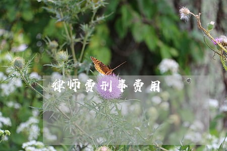 律师费刑事费用 律师费刑事费用