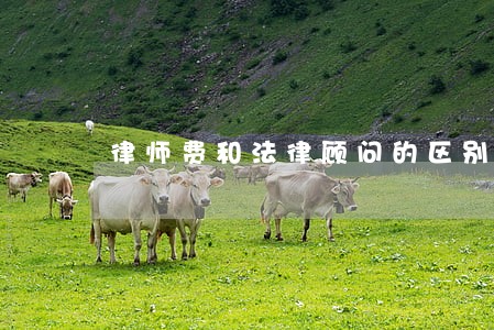 律师费和法律顾问的区别 律师费和法律顾问的区别