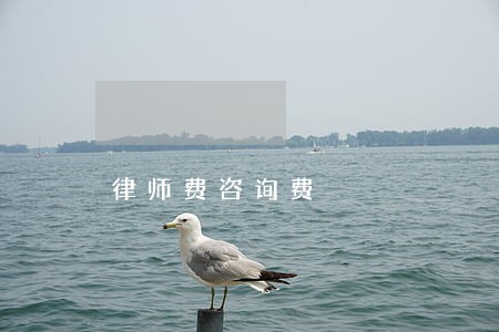 律师费咨询费 律师费咨询费