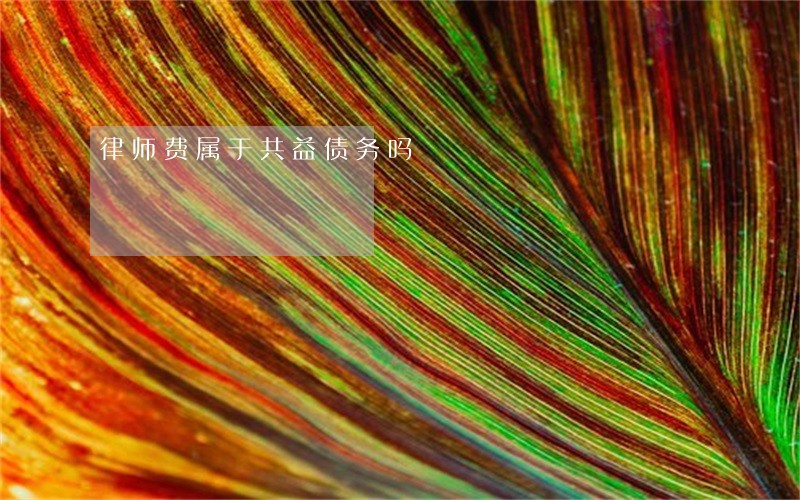 律师费属于共益债务吗 律师费属于共益债务吗