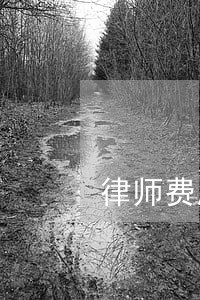 律师费属于哪一个税收编码 律师费属于哪一个税收编码