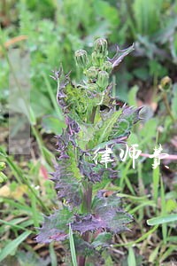 律师费怎么收取呢 律师费怎么收取呢