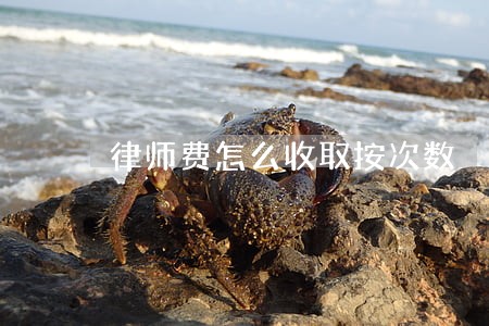 律师费怎么收取按次数 律师费怎么收取按次数