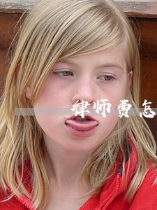 律师费怎样计算器 律师费怎样计算器