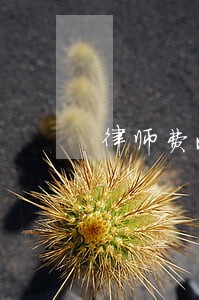 律师费收取的有关规定 律师费收取的有关规定