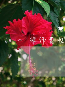 律师费收过了 律师费收过了