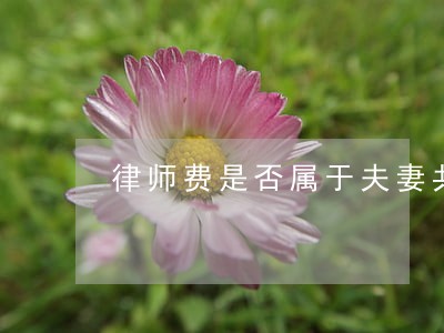 律师费是否属于夫妻共同债务 律师费是否属于夫妻共同债务