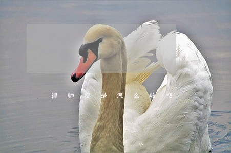 律师费是怎么收取 律师费是怎么收取