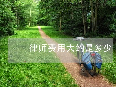 律师费用大约是多少 律师费用大约是多少