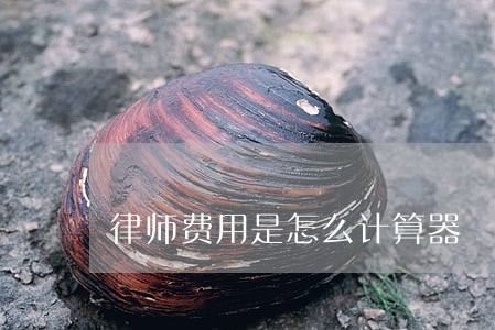 律师费用是怎么计算器 律师费用是怎么计算器