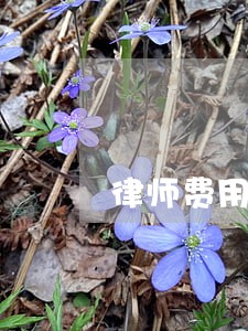 律师费用税收 律师费用税收