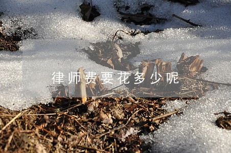 律师费要花多少呢 律师费要花多少呢