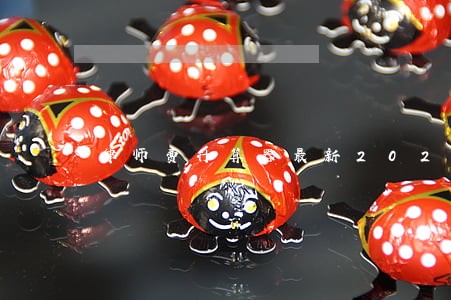 律师费计算器最新2022 律师费计算器最新2022