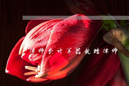 律师费计算器龙蟠律师 律师费计算器龙蟠律师