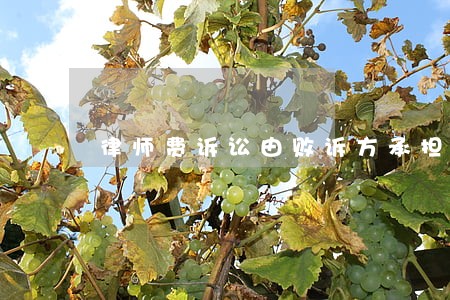 律师费诉讼由败诉方承担 律师费诉讼由败诉方承担