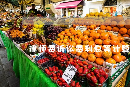 律师费诉讼费利息等计算器 律师费诉讼费利息等计算器