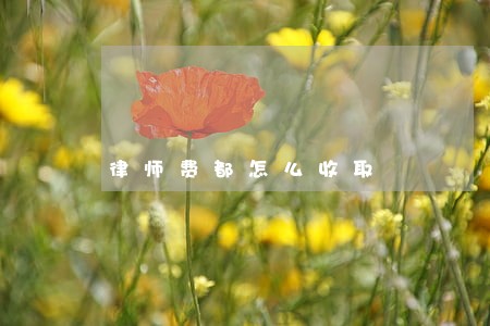 律师费都怎么收取