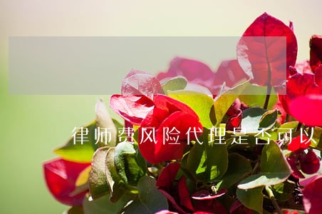 律师费风险代理是否可以优先受偿 律师费风险代理是否可以优先受偿