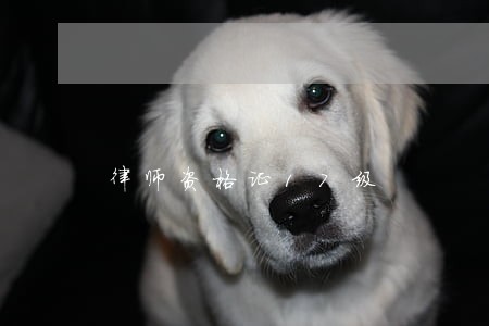 律师资格证17级 律师资格证17级