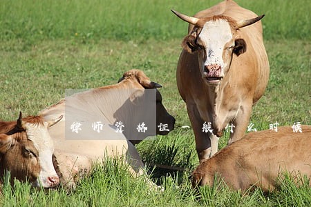 律师资格证一般什么时候下来 律师资格证一般什么时候下来