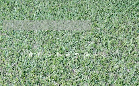 律师资格证办理资料
