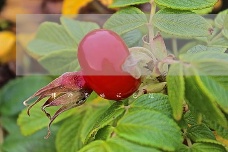 律师资格证包过 律师资格证包过