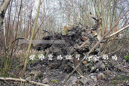 律师资格证可以全职吗 律师资格证可以全职吗