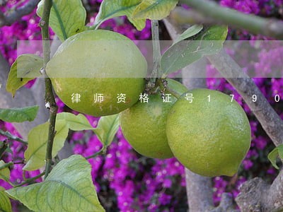 律师资格证号1790 律师资格证号1790