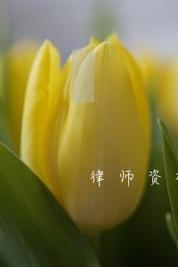 律师资格证和资产评估师双证 律师资格证和资产评估师双证