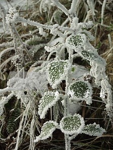 律师资格证如何换律师证 律师资格证如何换律师证