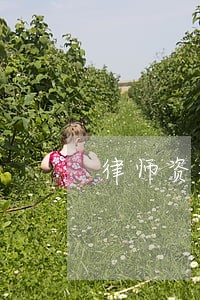 律师资格证挂靠费 律师资格证挂靠费