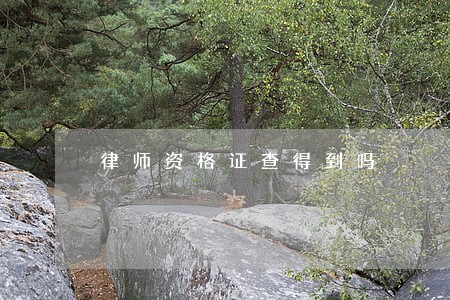 律师资格证查得到吗