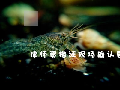 律师资格证现场确认要啥 律师资格证现场确认要啥