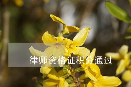 律师资格证积分通过