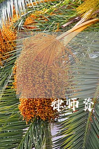 律师资格证编号有年份么