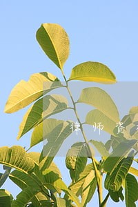 律师资格证考过的来回答 律师资格证考过的来回答