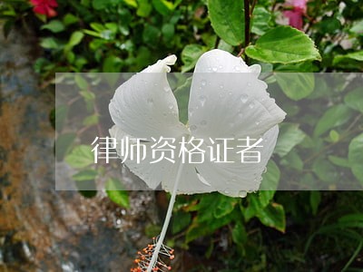 律师资格证者 律师资格证者