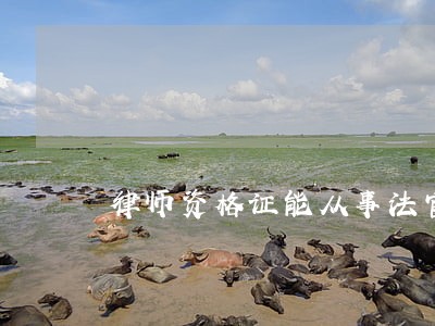 律师资格证能从事法官 律师资格证能从事法官