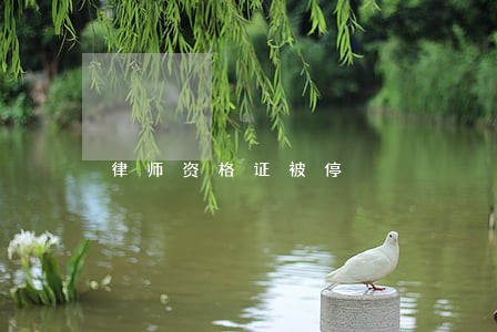 律师资格证被停 律师资格证被停