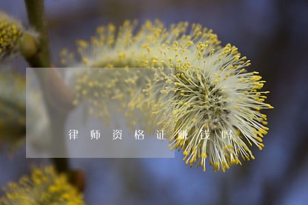 律师资格证赚钱吗